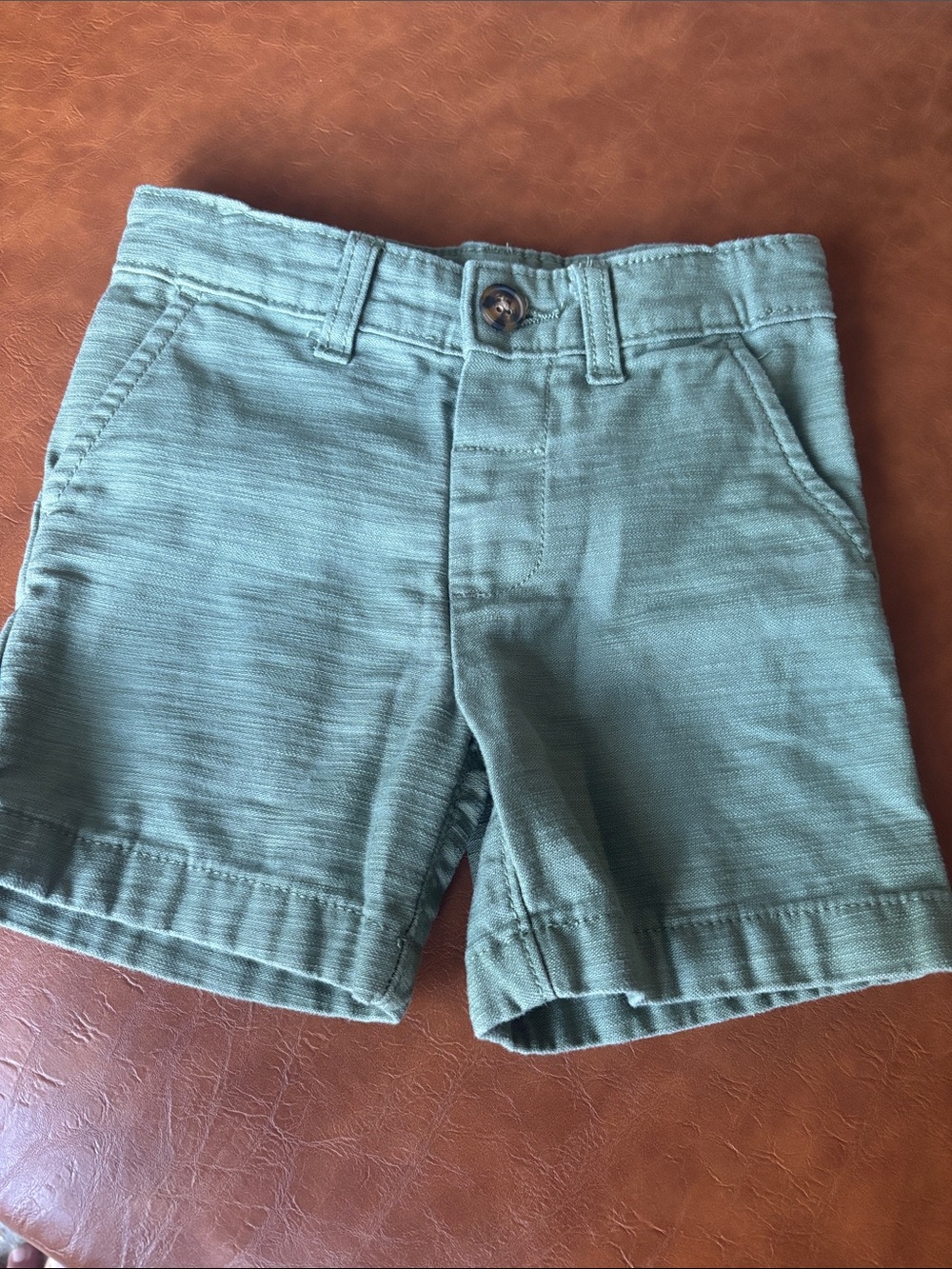 Carter’s Boys Green Shorts Size 2T